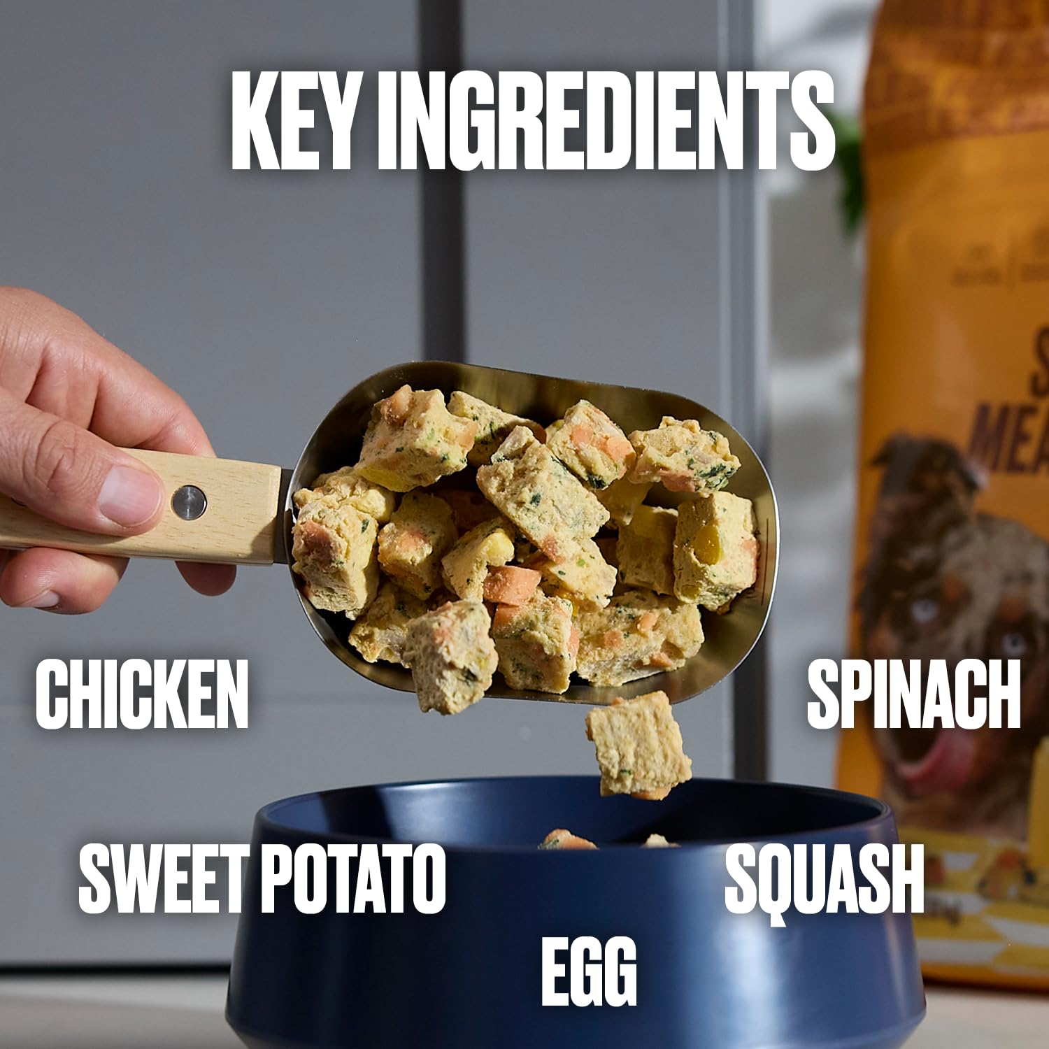 Nom Nom repas servi dans un bol mélangé à croquettes pour attractivité