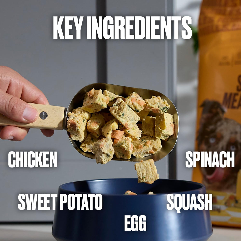 Nom Nom repas servi dans un bol mélangé à croquettes pour attractivité
