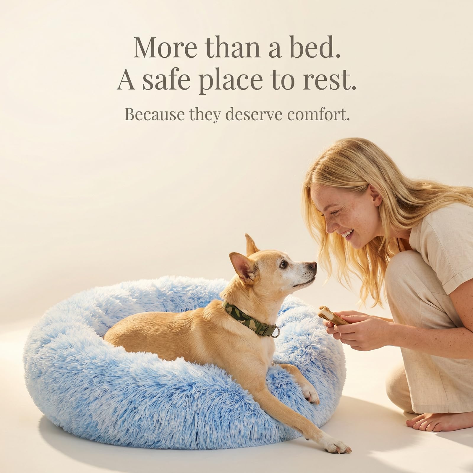 nononfish ambiance cosy intégrée au salon pour confort animal