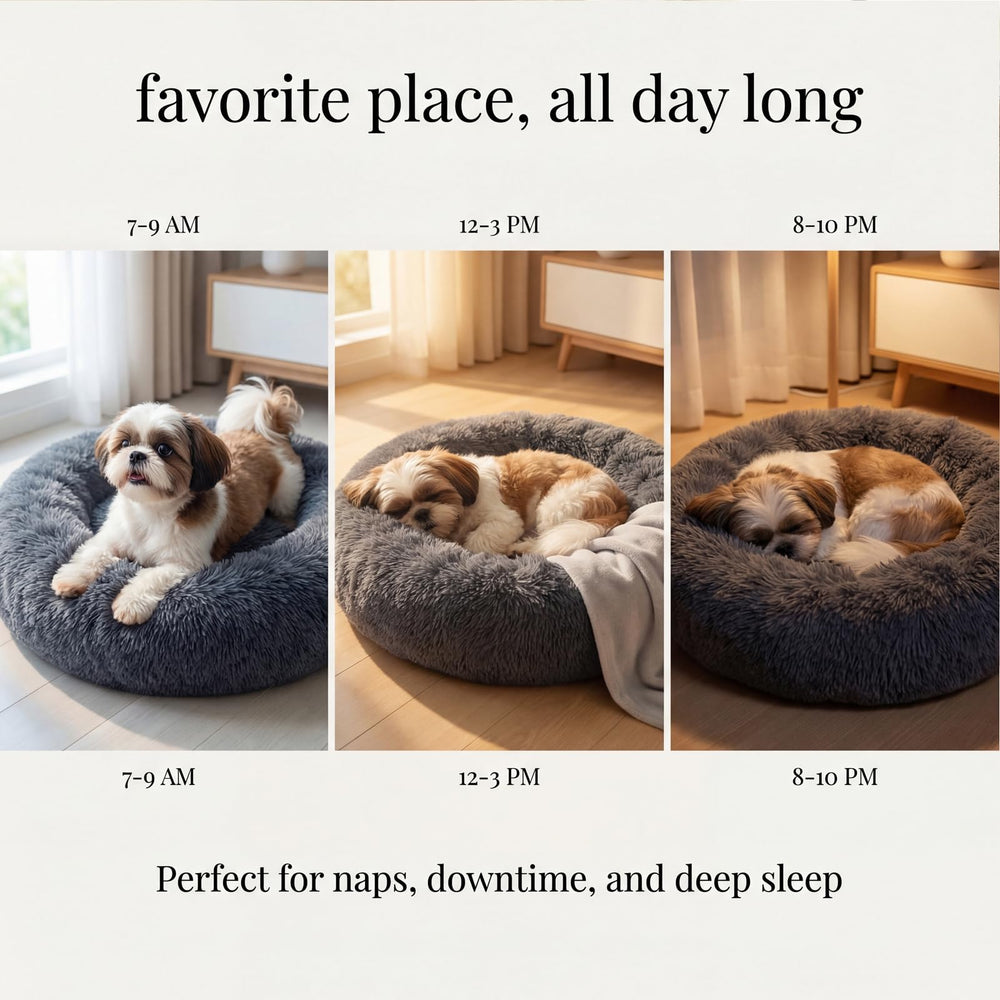 nononfish petit chien dormant dans le lit pour relaxation quotidienne