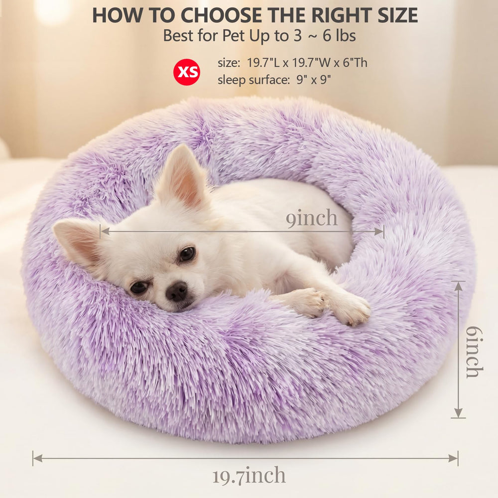 nononfish chien installé dans le lit montrant relaxation immédiate
