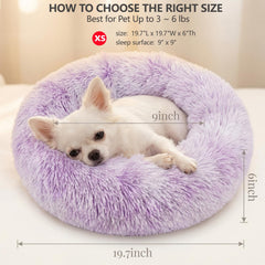 nononfish chien installé dans le lit montrant relaxation immédiate