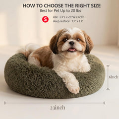 nononfish lit en usage avec chien illustrant apaisement
