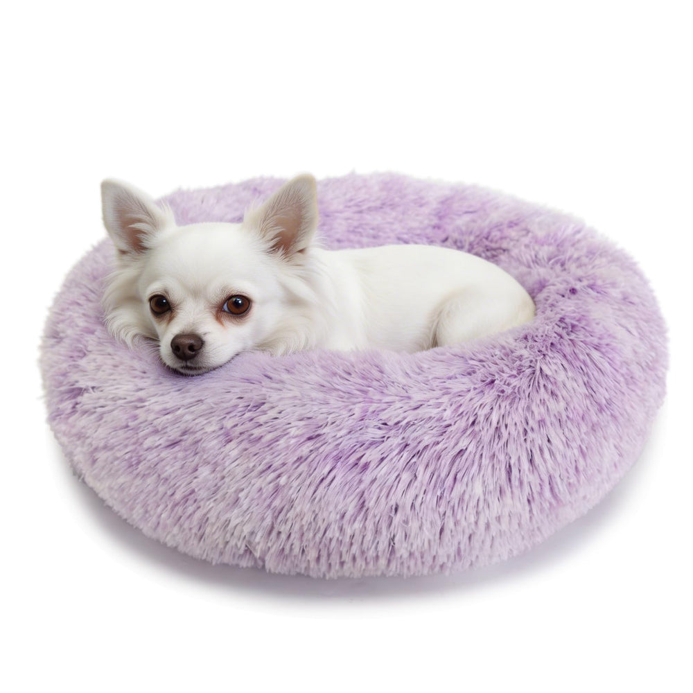 nononfish lit donut panoramique montrant confort et structure protectrice