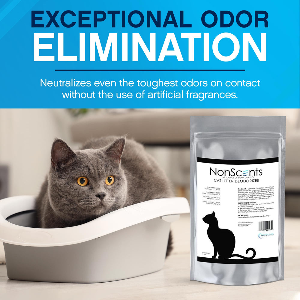 NonScents texture granulaire en gros plan pour meilleure absorption
