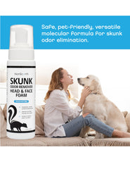 NonScents texture de la mousse montrant absorption rapide