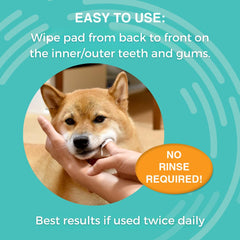 Nootie application sur dents de chien avec bénéfice réduction plaque