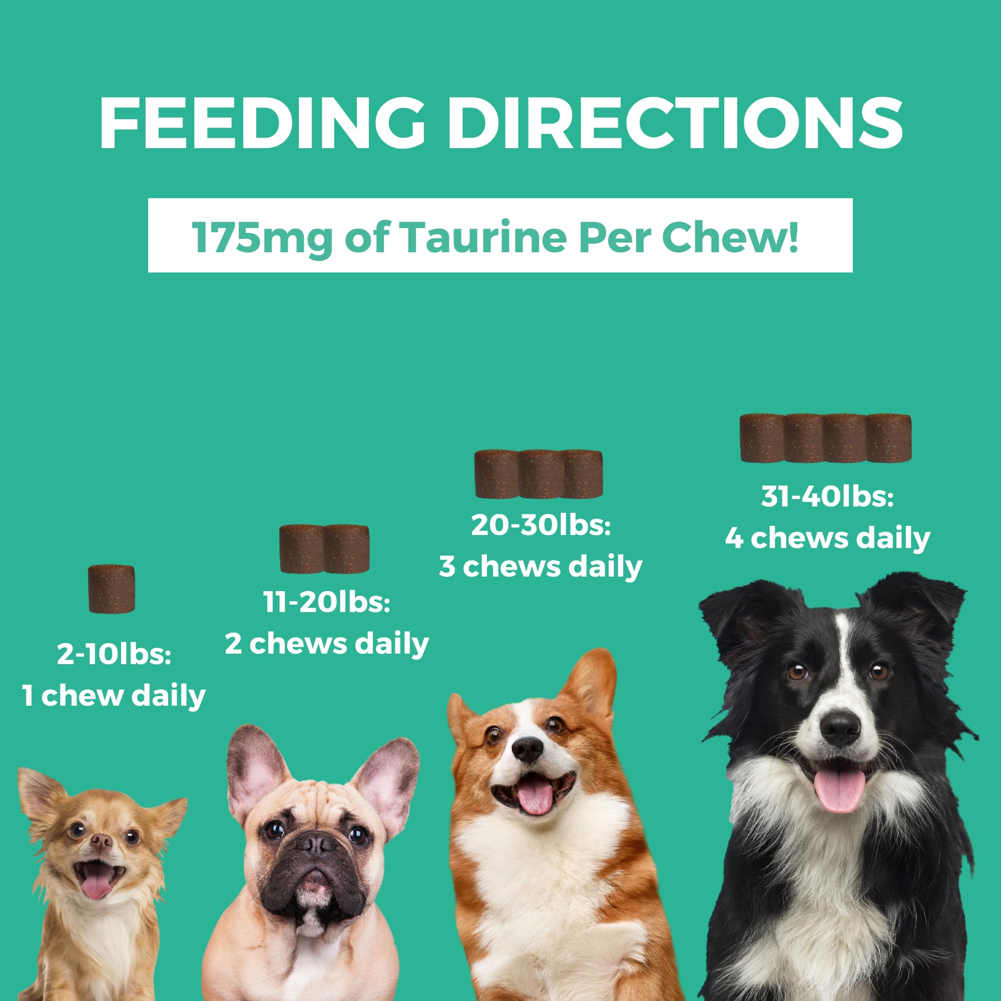 Nootie Progility Mini chien acceptant la friandise démontrant appétence