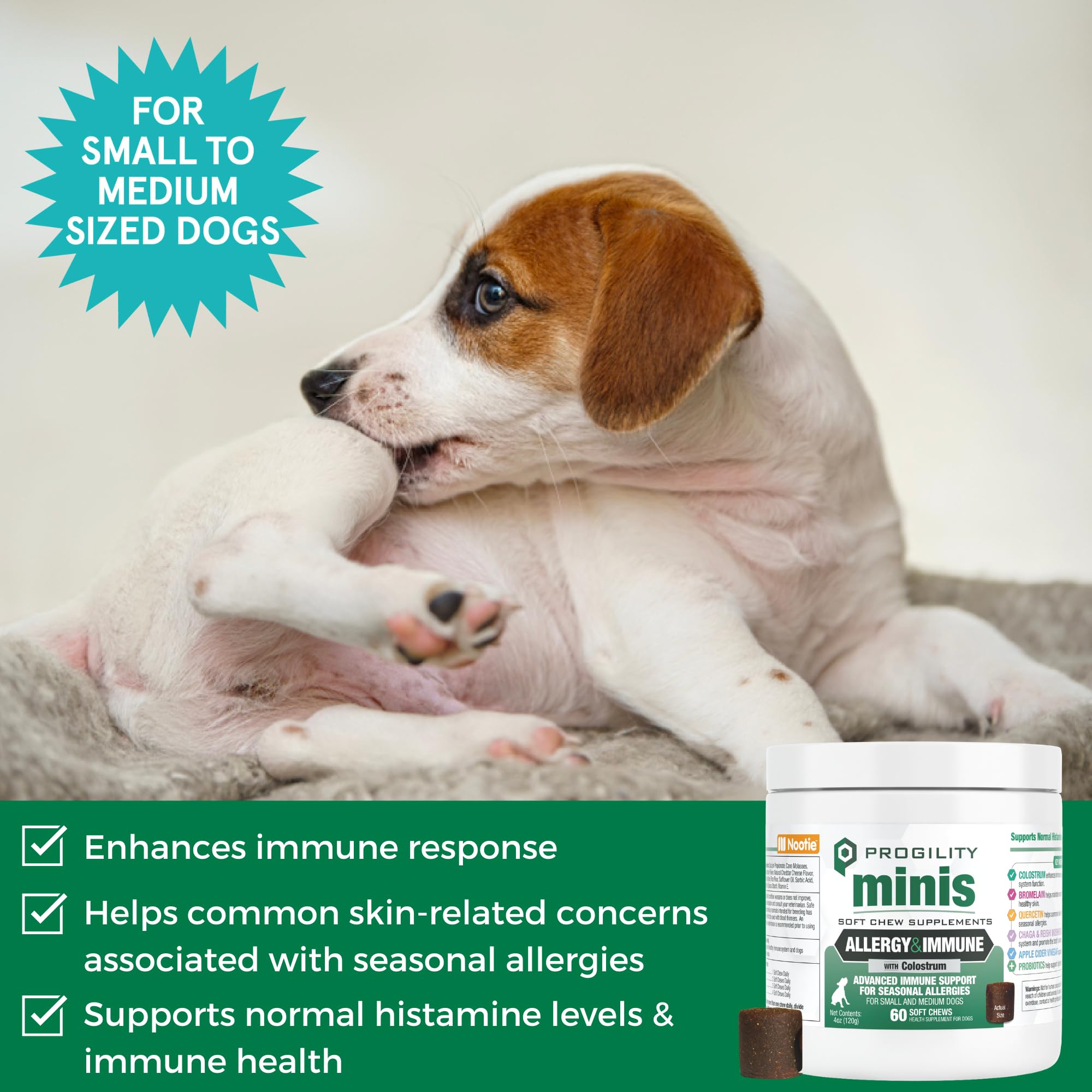 Nootie Progility Mini gros plan sur un masticable montrant texture appétente