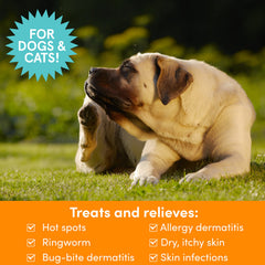 Nootie spray en application sur chien ciblant une zone irritée pour plus de confort