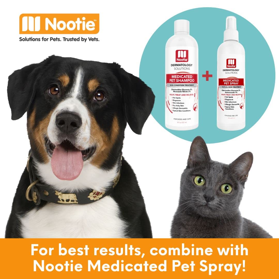 Nootie spray utilisé dans un cadre domestique montrant détente et bien-être animal