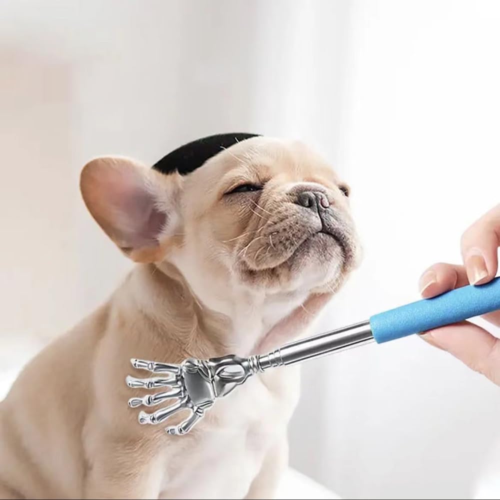 Nopikku gros plan râteau montrant dents espacées utiles pour enlever poils