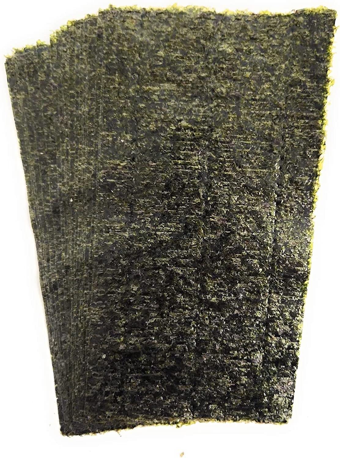 Norman's Nori feuille attachée dans un aquarium en usage offrant alimentation naturelle