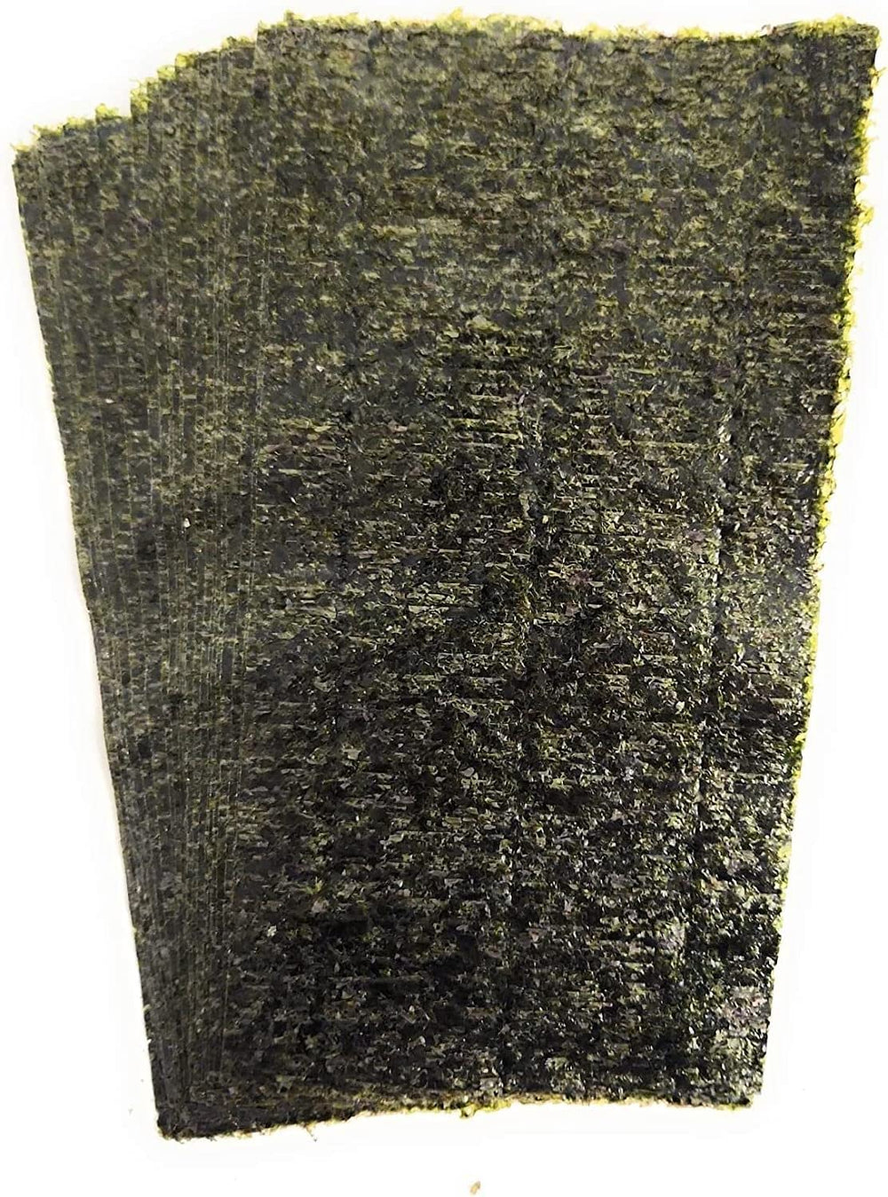 Norman's Nori feuille attachée dans un aquarium en usage offrant alimentation naturelle