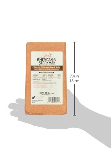 North American Salt brique en pâturage accessible aux bovins et chevaux pratique