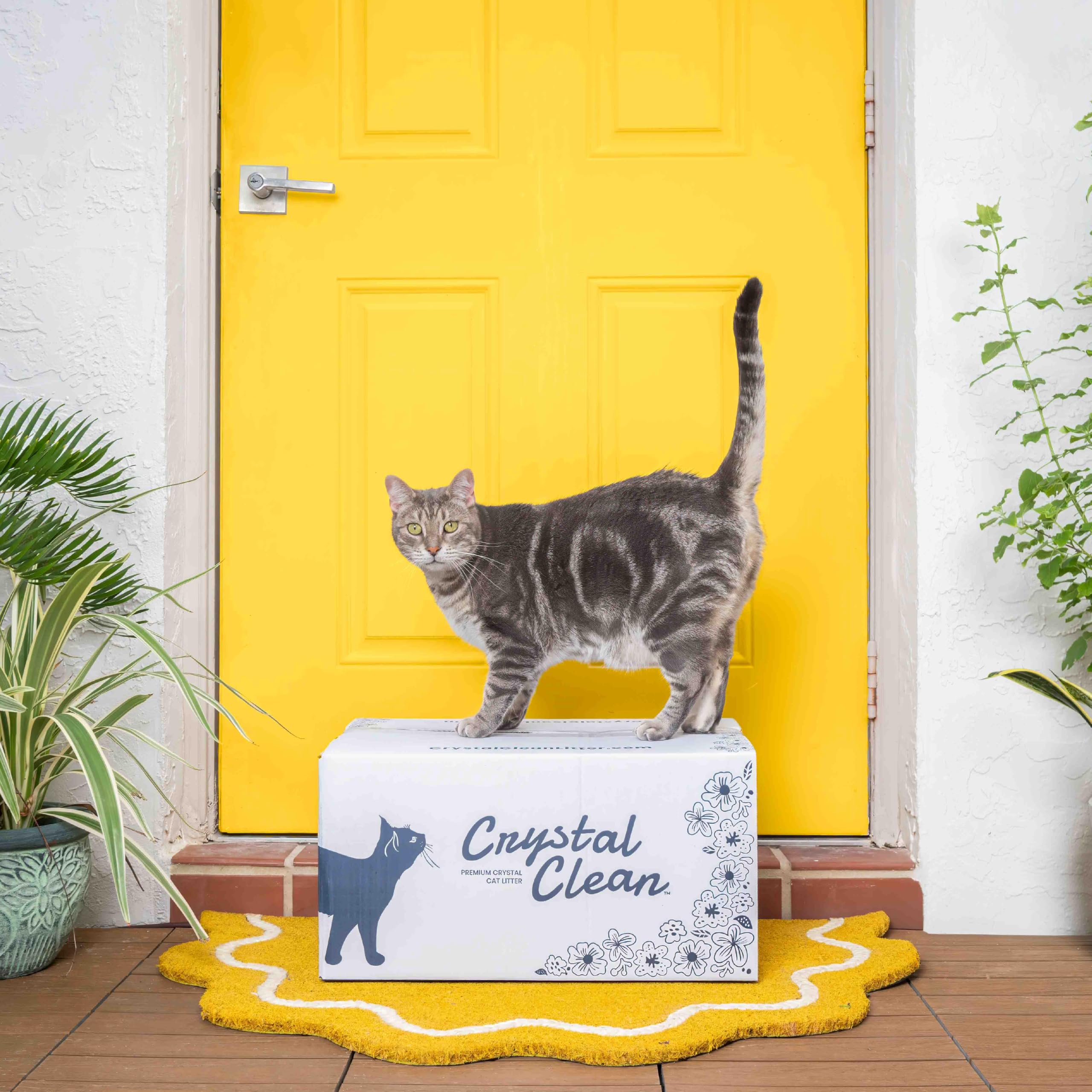 North Star Pets compatibilité PetSafe démontrant facilité d'usage