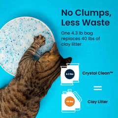 North Star Pets utilisation dans bac illustrant contrôle des odeurs