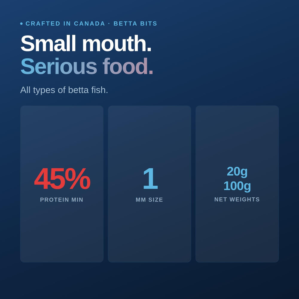 Northfin Betta Bits granulés coulants dans l'eau favorisant consommation