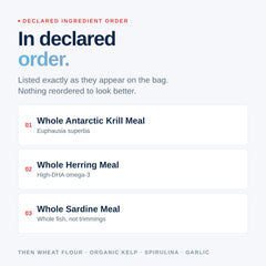 Northfin Betta Bits comparaison taille 1mm pour petites bouches de betta
