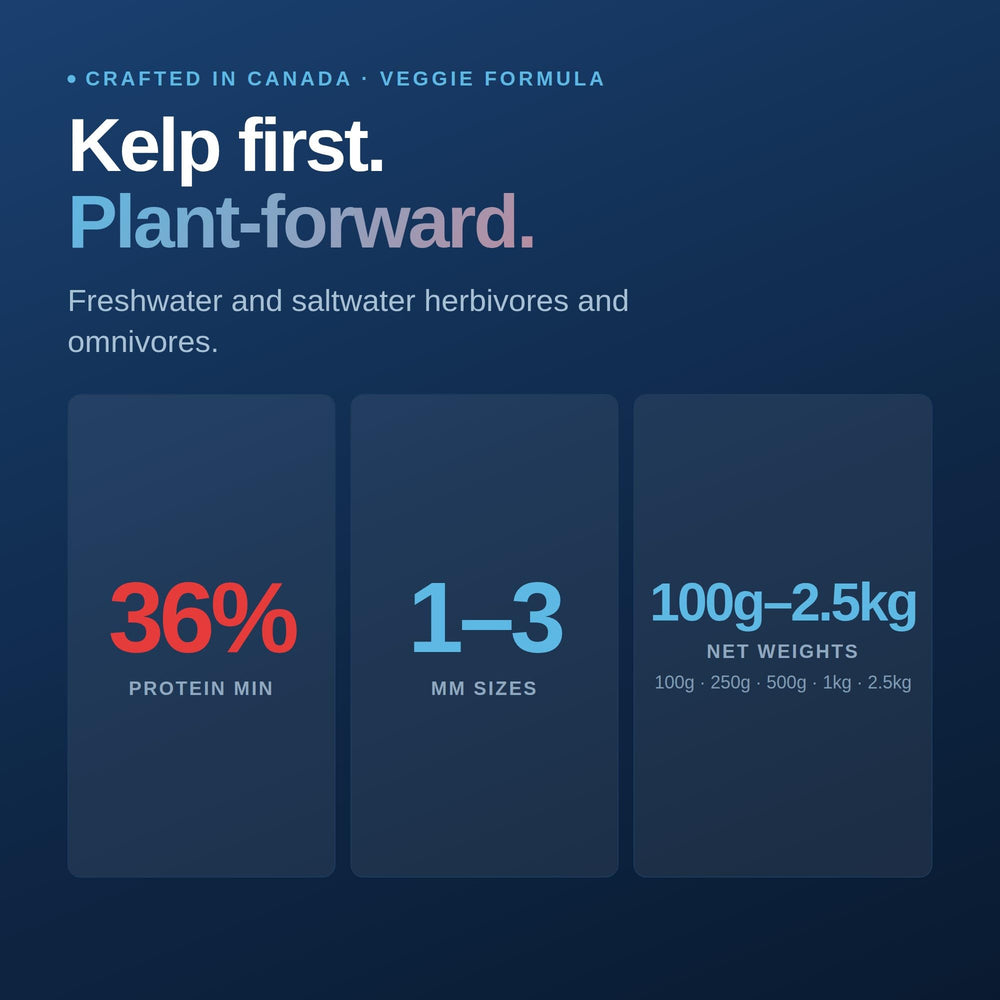 Northfin emballage arrière avec liste d'ingrédients mettant en valeur kelp biologique
