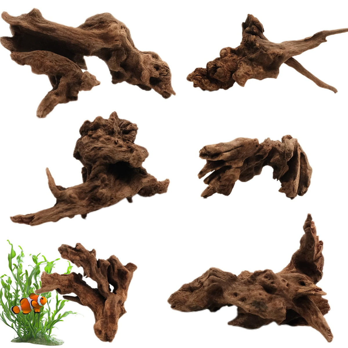 NortureFlora vue de la boîte contenant 6 bois flottés, présentation claire et économique