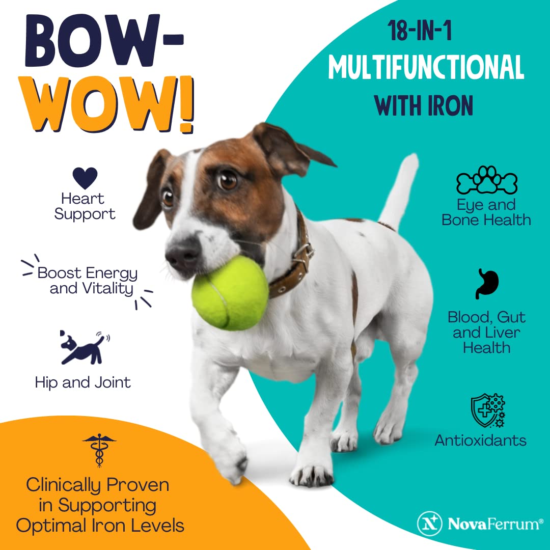 Chien acceptant NovaFerrum Bow Wow, goût poulet apprécié et digestion facilitée