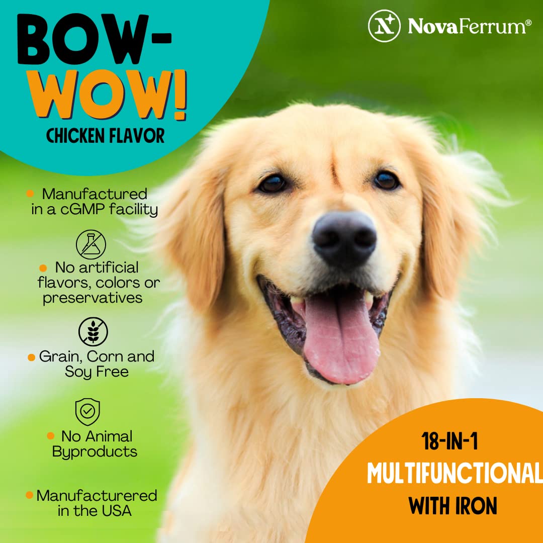 Mise en scène quotidienne montrant NovaFerrum adapté à la routine chien
