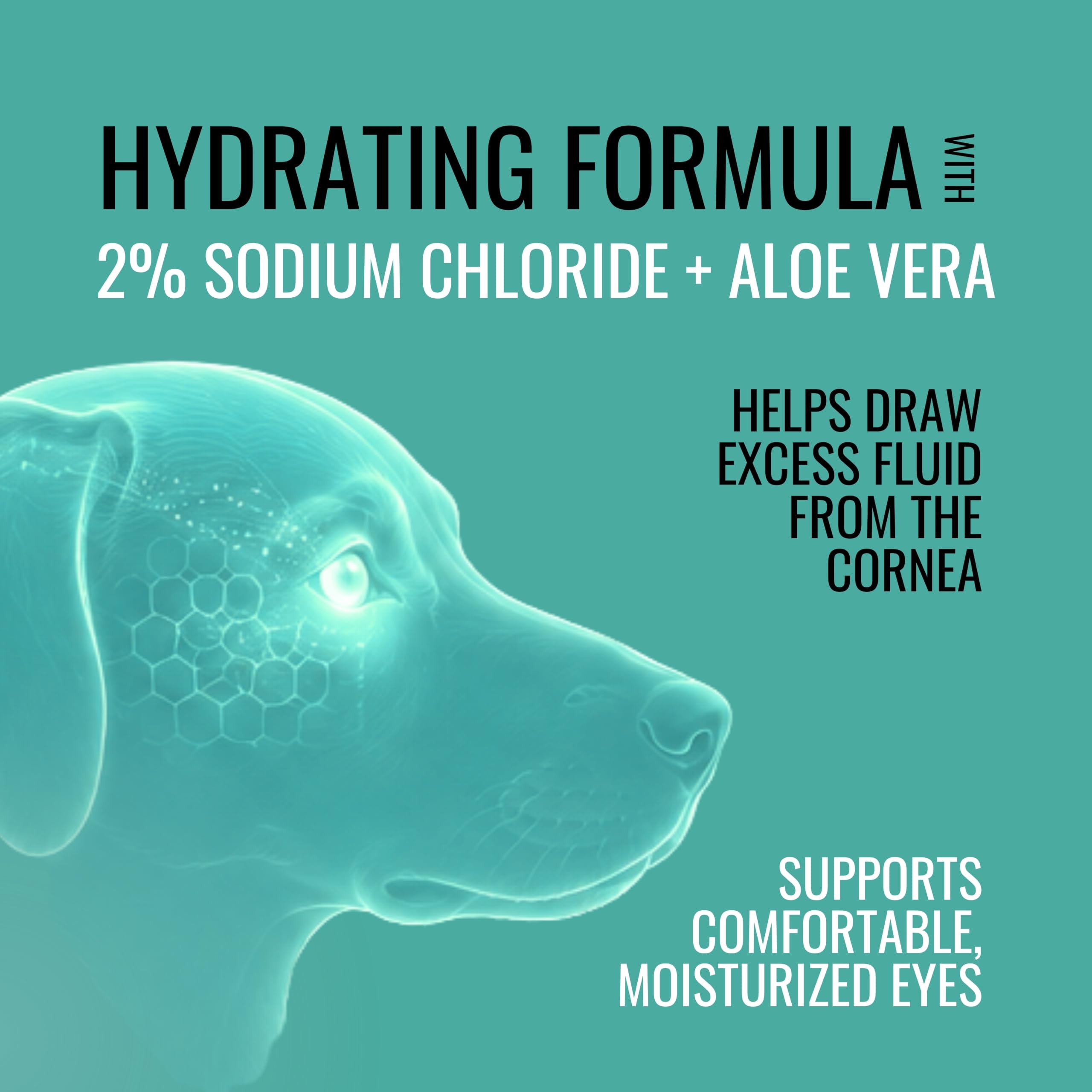 NOVEHA HydraPet démonstration d'application sur un chien pour soulager yeux irrités