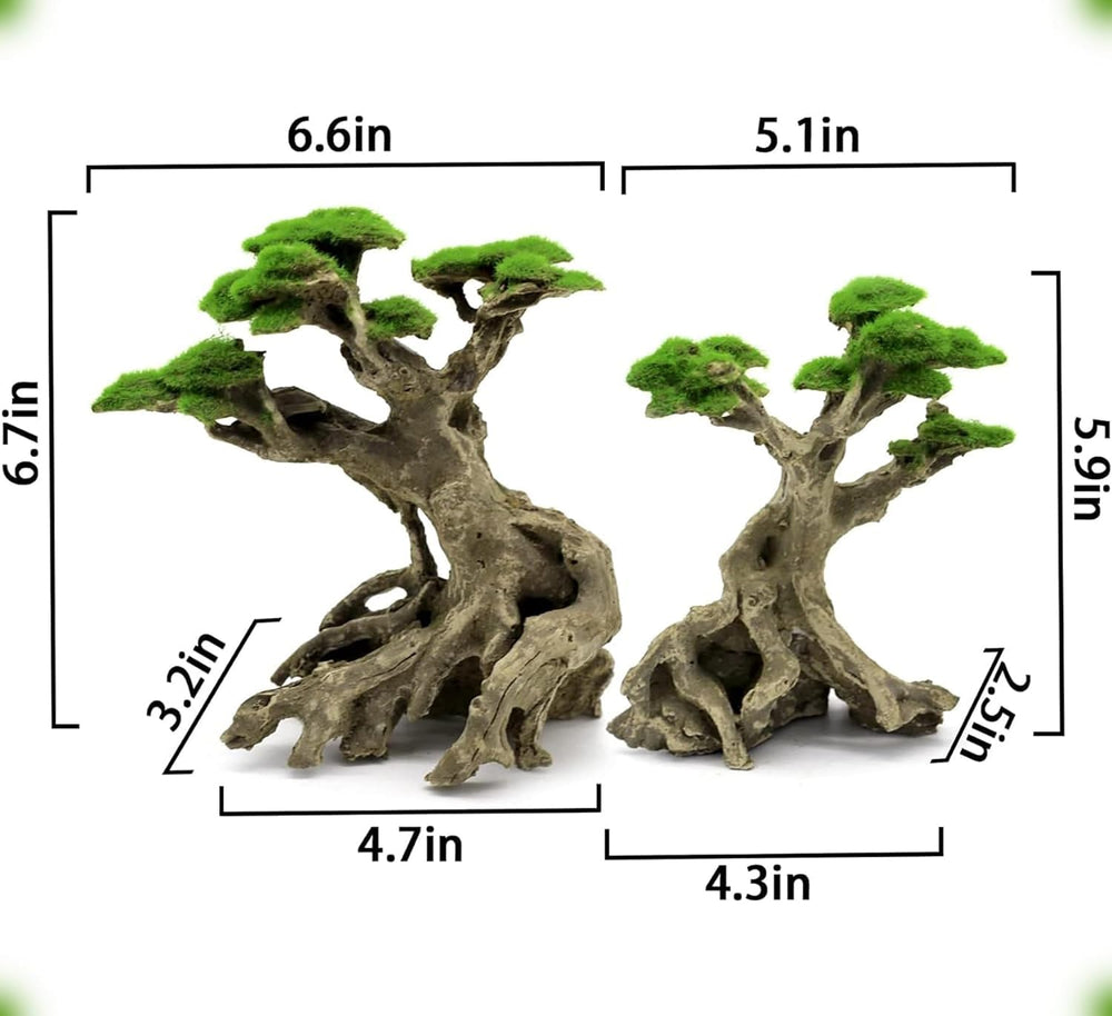 Novelsite comparaison d'échelle illustrant taille adaptée aux bacs moyens