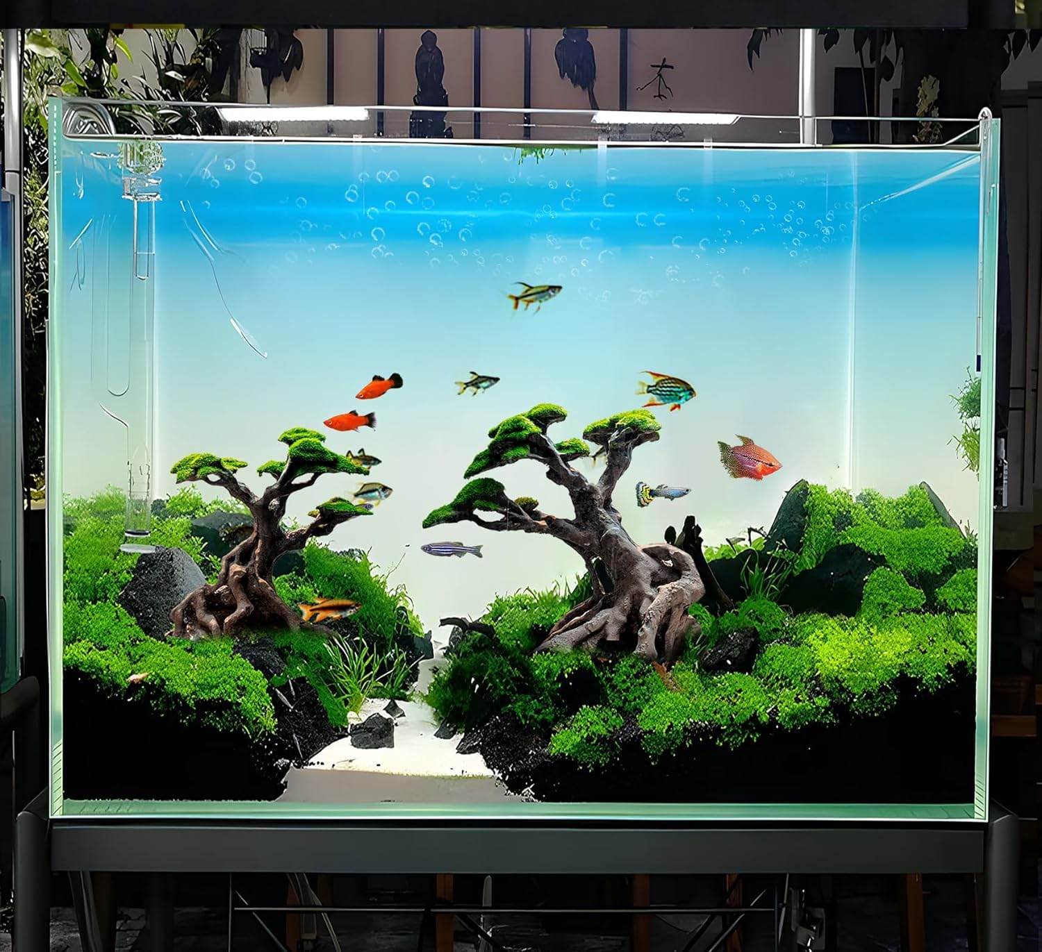 Novelsite décor installé dans aquarium montrant refuge pour poissons