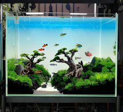 Novelsite décor installé dans aquarium montrant refuge pour poissons