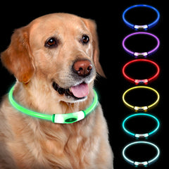 NOVKIN collier LED face avant montrant visibilité accrue