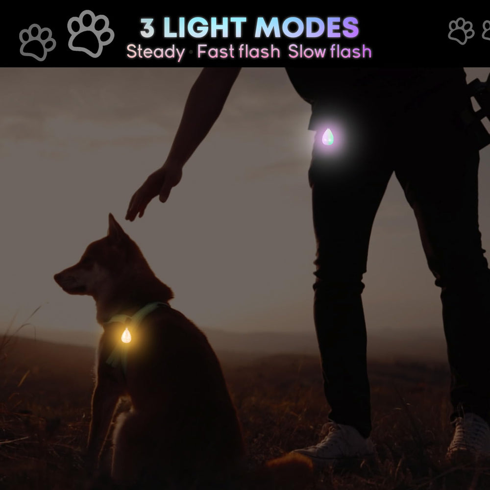 Novkin gros plan LED montrant la luminosité nette et durable