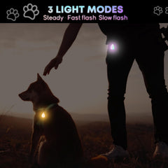 Novkin gros plan LED montrant la luminosité nette et durable