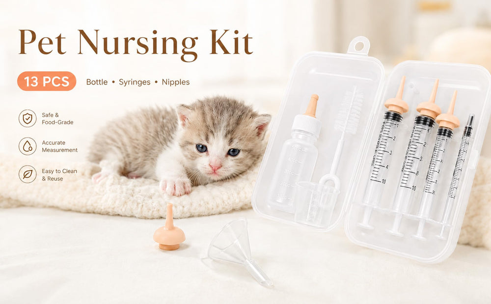 NOVYQREN emballage ouvert montrant contenu complet du kit