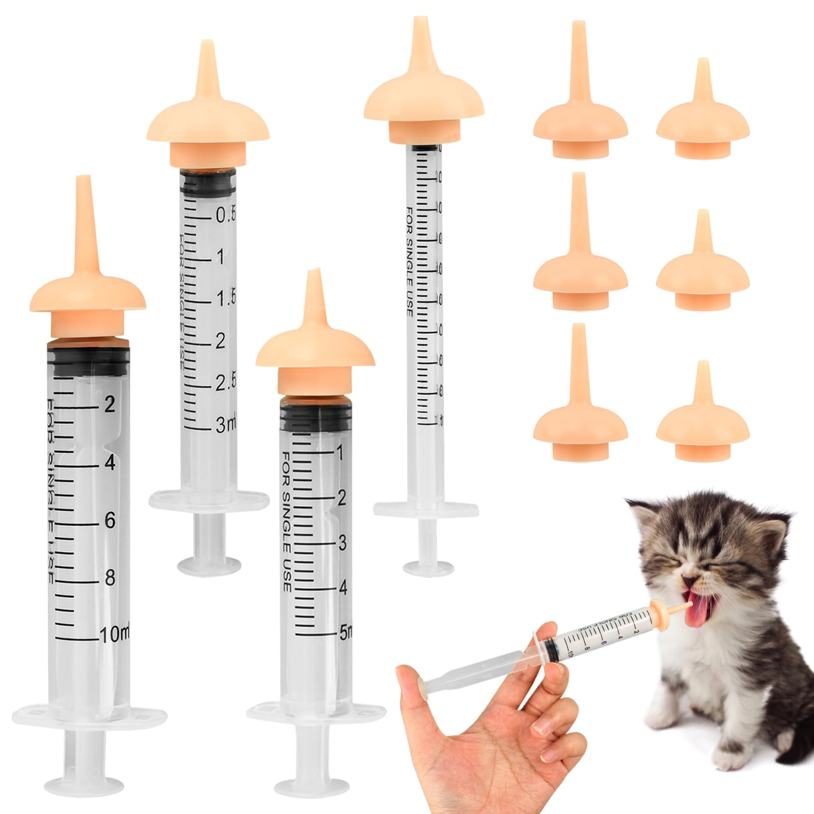 NOVYQREN feeding chaton en utilisation, aide au sevrage en douceur