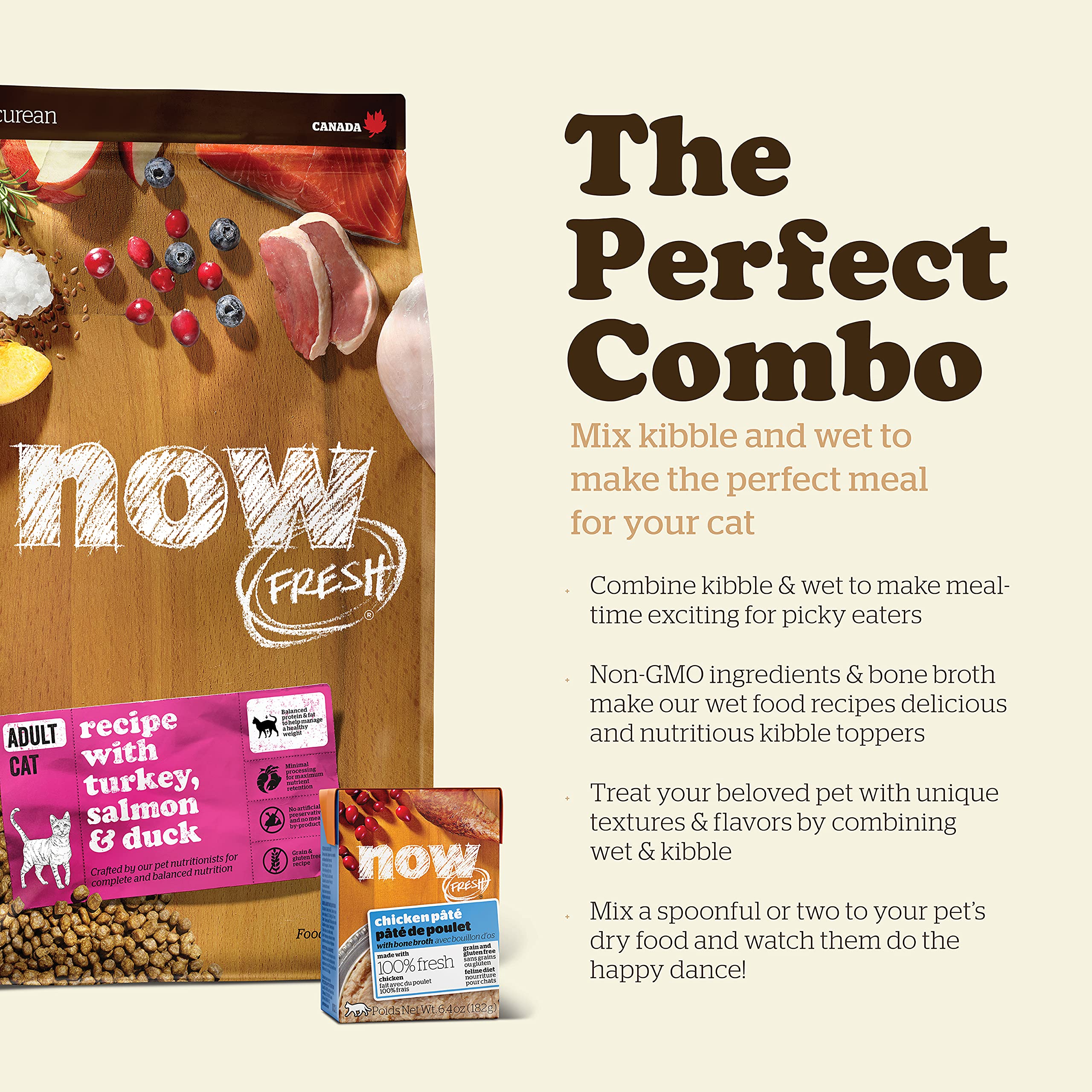 Now Fresh chat mange en confiance montrant plaisir et appétence