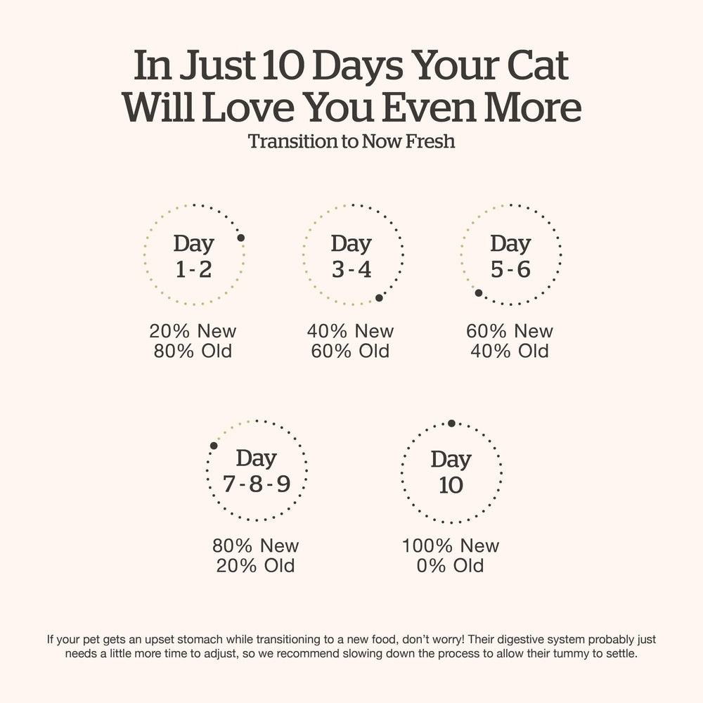 Now Fresh chat mange la recette témoignant d'acceptation par chats difficiles