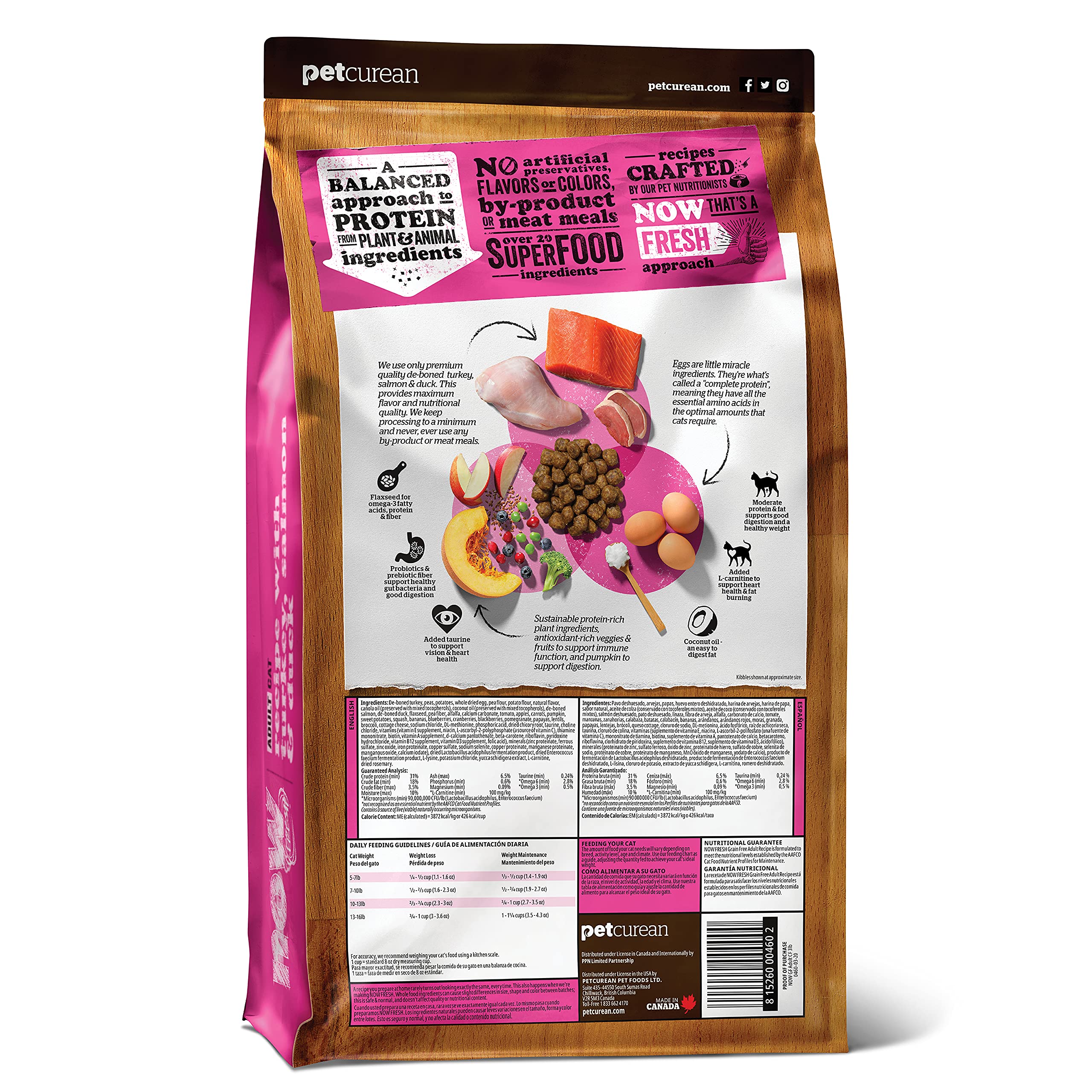 Now Fresh gros plan des croquettes montrant texture digestible et appétence