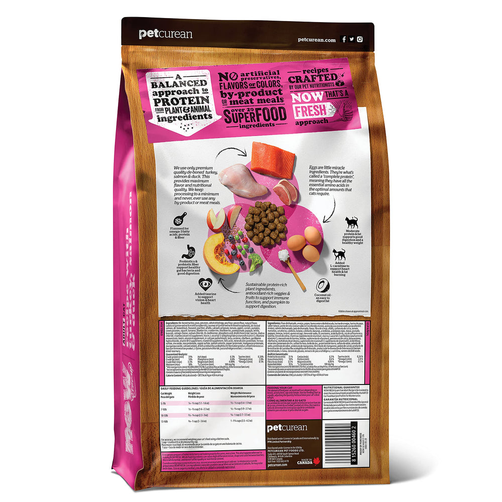 Now Fresh gros plan des croquettes montrant texture digestible et appétence