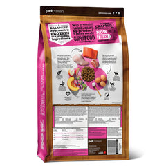 Now Fresh gros plan des croquettes montrant texture digestible et appétence