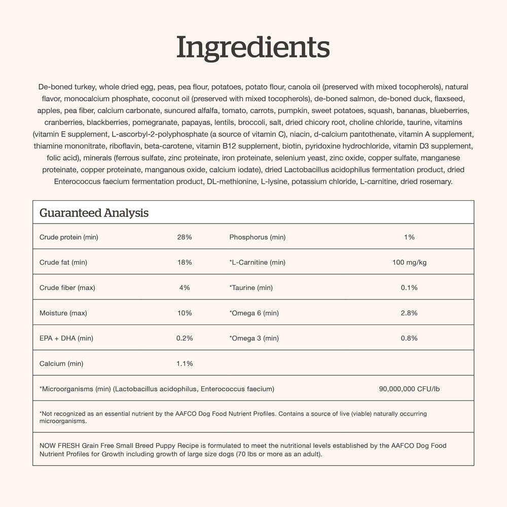 Now Fresh scène familiale montrant alimentation pour chiots en environnement domestique