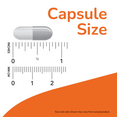NOW gélules dans main pour visualiser la taille et dosage