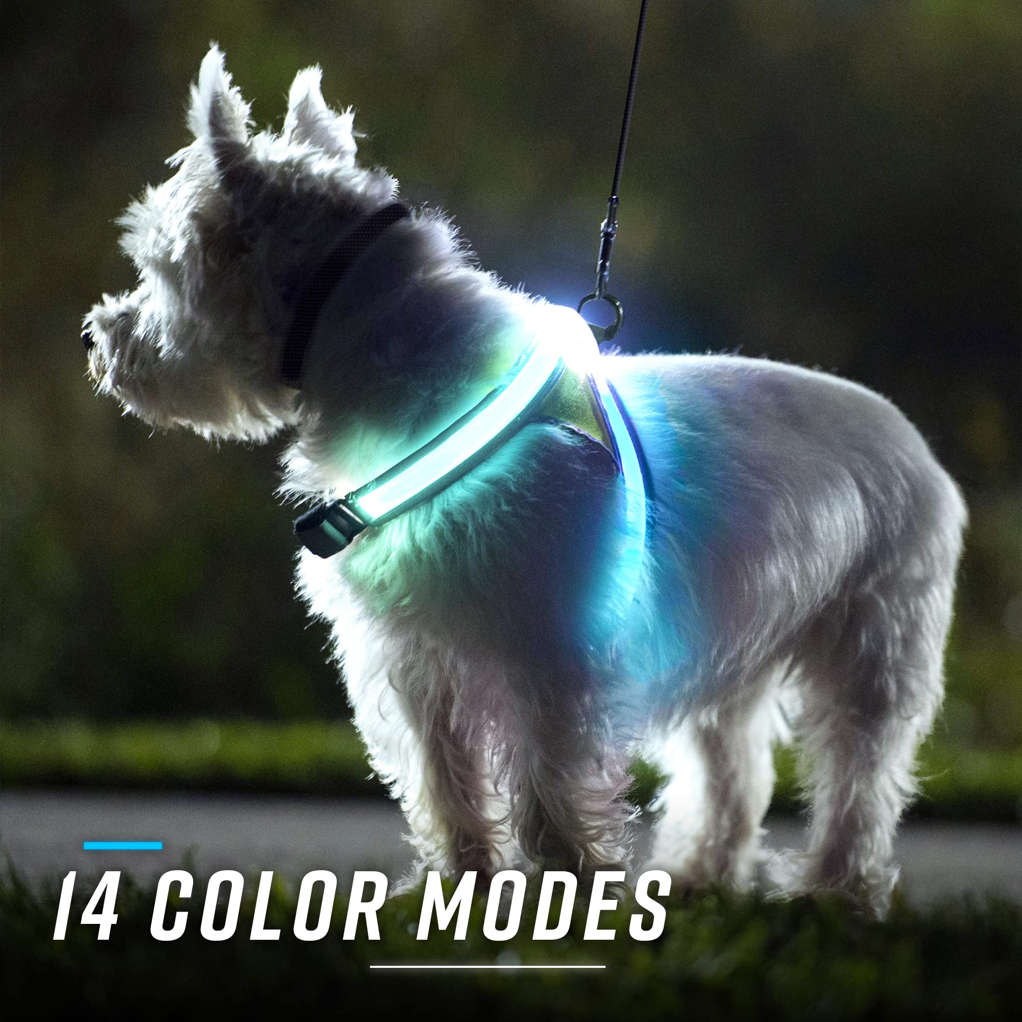 noxgear affichage de plusieurs couleurs montrant modes lumineux variés