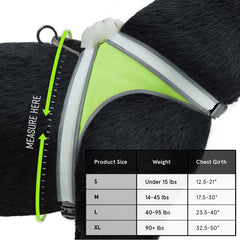 noxgear profil porté par petit chien prouvant confort et ajustement