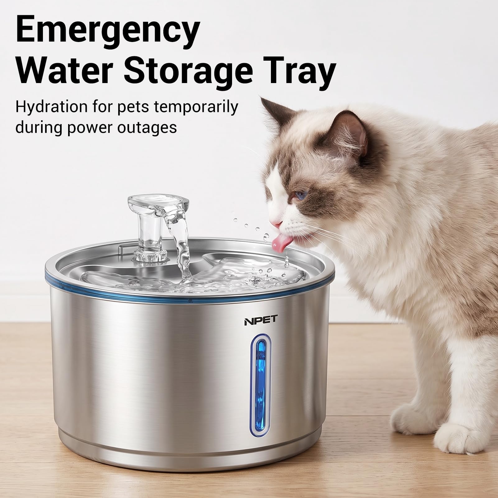 NPET fontaine en usage avec chat buvant pour encourager hydratation régulière