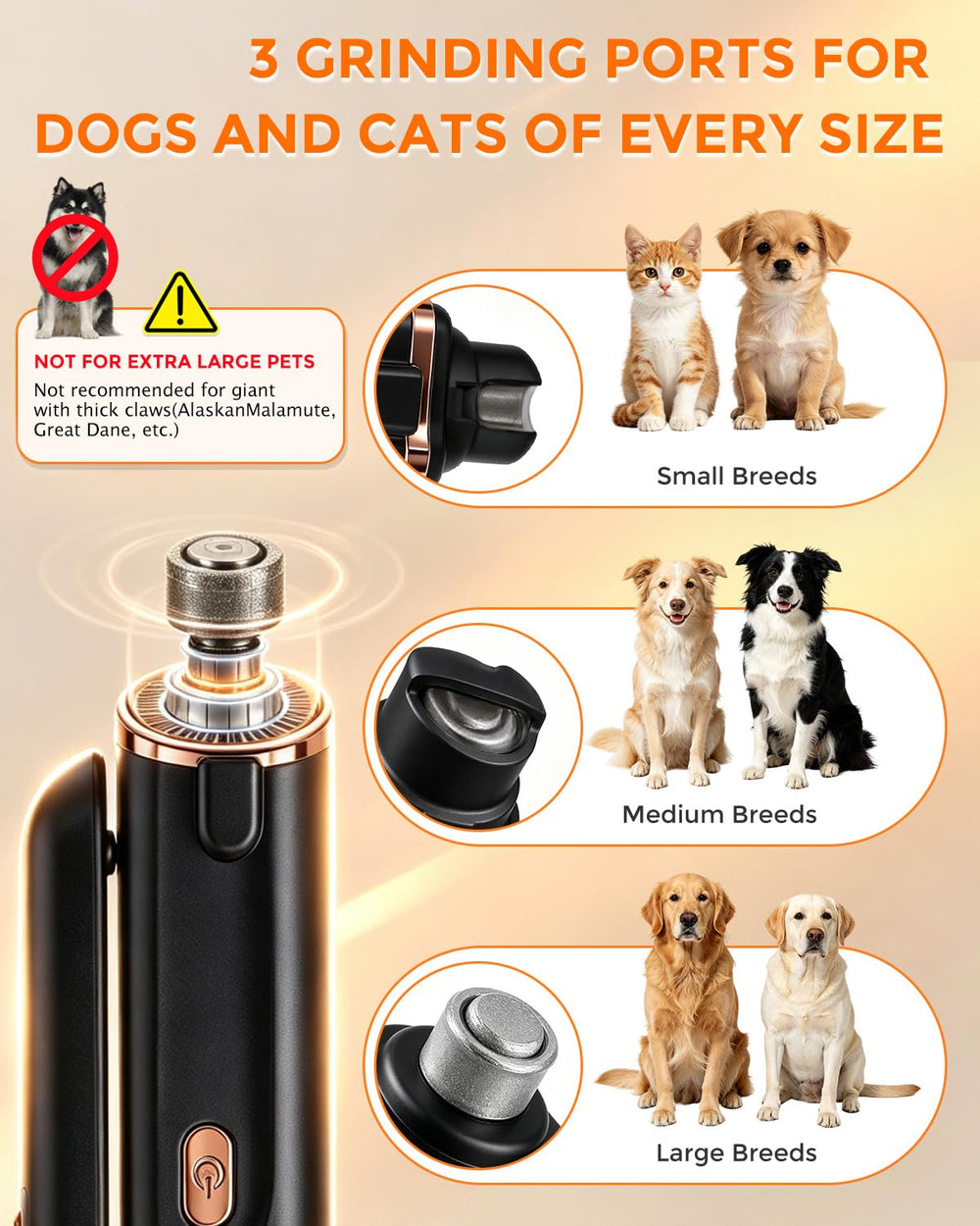 NSTNEFD en usage sur chien, calme et coupe d'ongles sans stress