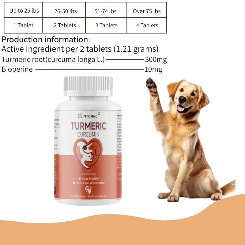 NTCARE chien actif courant illustrant soutien mobilité et confort