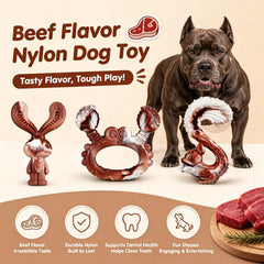 Chien mordant jouet NTFWG en forme de lapin, favorise jeu prolongé sécurisé