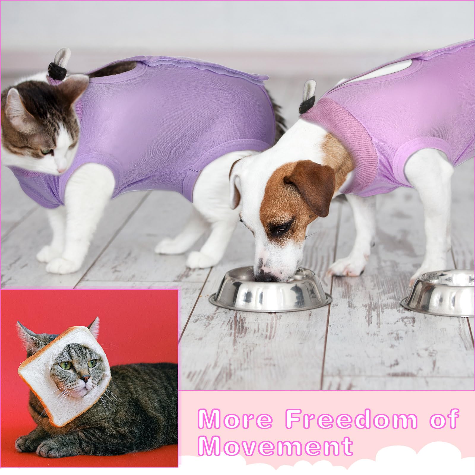 Nuanchu chat porte combinaison confort réduit le stress post-op